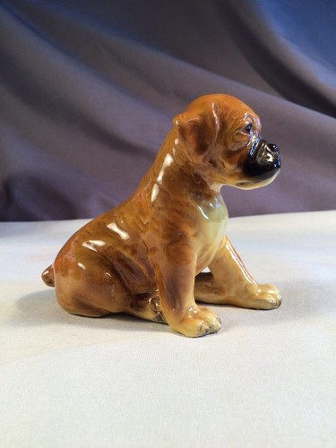 Boxer puppy mortens - puppy,
